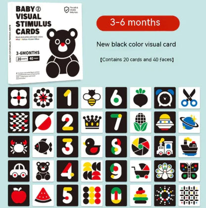 Early Education Visual Stimulation Card